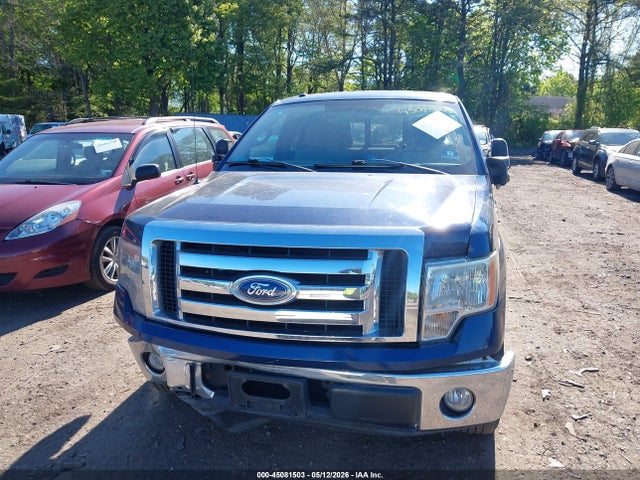 Продажа на аукционе авто 2010 Ford F-150 Xlt, vin: 1FTEX1C80AFD69691, номер лота: 45081503