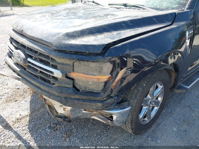 Продажа на аукционе авто 2024 Ford F-150 Xlt, vin: 1FTEW3K55RKD80968, номер лота: 45081538