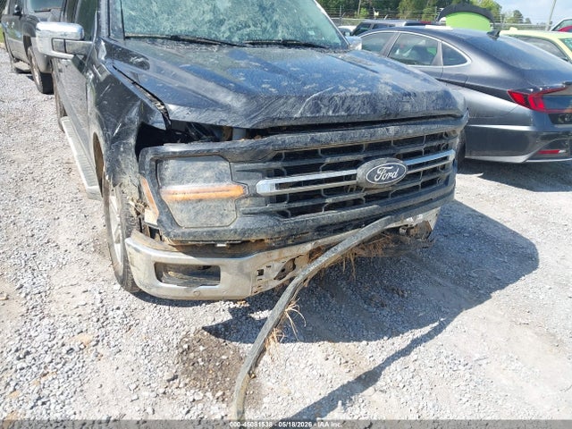 Продажа на аукционе авто 2024 Ford F-150 Xlt, vin: 1FTEW3K55RKD80968, номер лота: 45081538