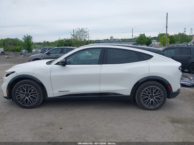 Ford Mustang Mach-e Premium 2024 3FMTK3SU5RMA36085 Image 14