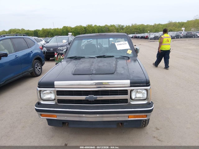 Продажа на аукционе авто 1991 Chevrolet S Truck S10, vin: 1GCCT14ZXM0196375, номер лота: 45083645