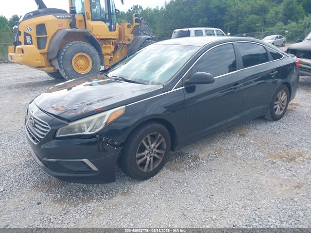 Auction sale of the 2016 Hyundai Sonata, vin: 5NPE24AF7GH416800, lot number: 45083775