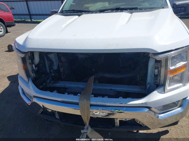 1FTFX1E82MFA28489 Ford F-150 Xl