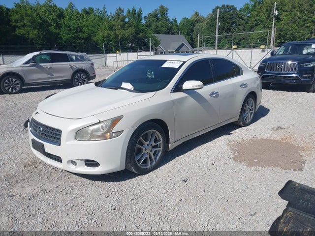 2011 Nissan Maxima 3.5 Sv მანქანა იყიდება აუქციონზე, vin: 1N4AA5AP8BC819873, აუქციონის ნომერი: 45085323