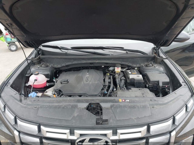 5NTJCDDEXSH135230 Hyundai Santa Cruz Sel Activity