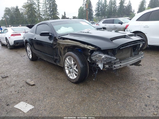 2014 1ZVBP8CF5E5255088 main image