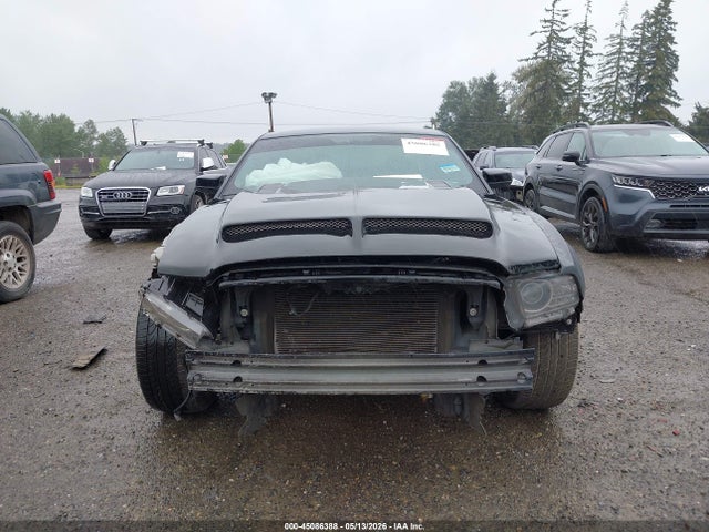 Ford MUSTANG GT 2014 1ZVBP8CF5E5255088 Image 13
