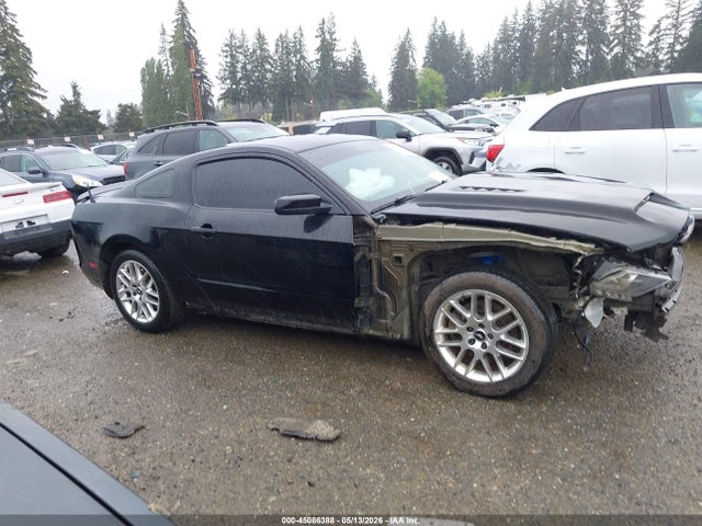 Ford MUSTANG GT 2014 1ZVBP8CF5E5255088 Image 14