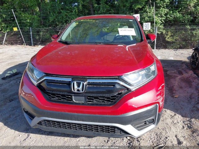 Auction sale of the 2020 Honda Cr-v Awd Ex-l, vin: 2HKRW2H81LH639135, lot number: 45087606