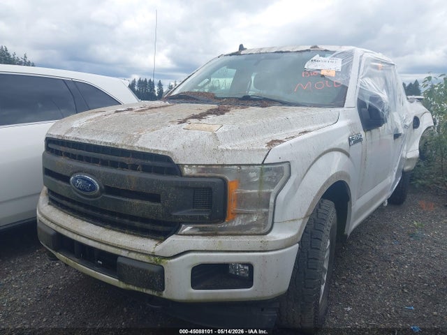 Продажа на аукционе авто 2020 Ford F-150 Xl, vin: 1FTEW1E4XLFA18447, номер лота: 45088101