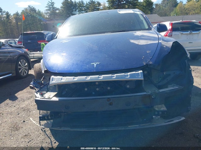 Auction sale of the 2025 Tesla Model Y Long Range Dual Motor All-wheel Drive, vin: 7SAYGDEE0SF293545, lot number: 45088616