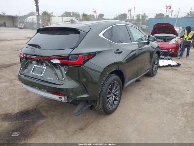 Продаж на аукціоні авто 2025 Lexus Nx 250, vin: 2T2ADCAZ7SC026655, номер лоту: 45089871