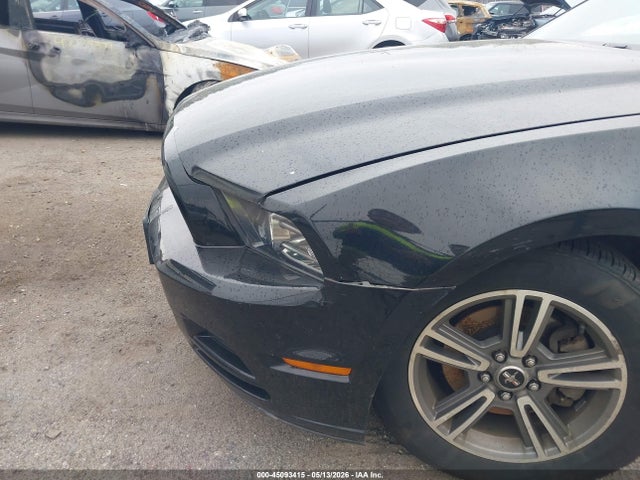 45093415 :رقم المزاد ، 1ZVBP8EM8D5213993 vin ، 2013 Ford Mustang V6 Premium مزاد بيع