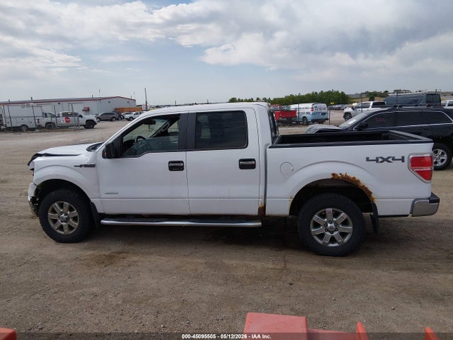 Продажа на аукционе авто 2014 Ford F-150 Xlt, vin: 1FTFW1ET0EKF23175, номер лота: 45095505