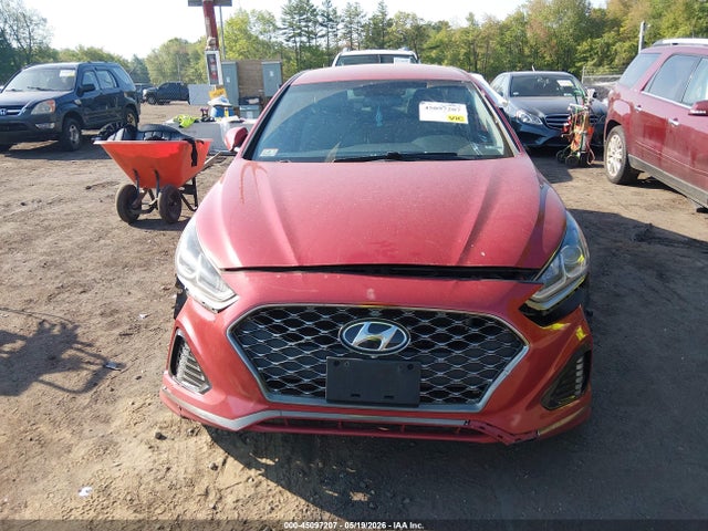 Auction sale of the 2019 Hyundai Sonata Sel, vin: 5NPE34AF2KH784629, lot number: 45097207