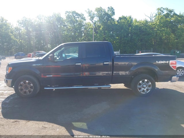 Продаж на аукціоні авто 2013 Ford F-150 Xlt, vin: 1FTFW1ET9DFB50273, номер лоту: 45097278