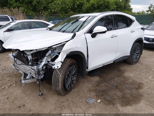 45097872 :رقم المزاد ، 2T2GGCEZ3TC099888 vin ، 2026 Lexus Nx 350 Premium مزاد بيع