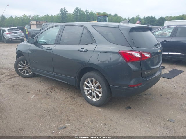 Chevrolet EQUINOX LS 2019 2GNAXSEV4K6299333 Image 3