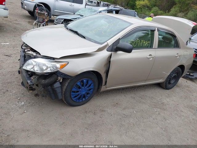2010 Toyota Corolla მანქანა იყიდება აუქციონზე, vin: 2T1BU4EEXAC371683, აუქციონის ნომერი: 45098985