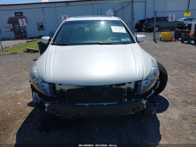45099020 :رقم المزاد ، 5KBCP3F89AB001787 vin ، 2010 Honda Accord 3.5 Ex-l مزاد بيع