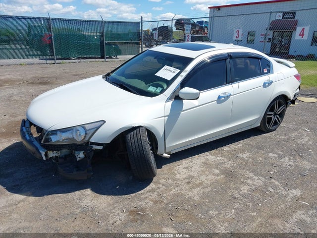 45099020 :رقم المزاد ، 5KBCP3F89AB001787 vin ، 2010 Honda Accord 3.5 Ex-l مزاد بيع