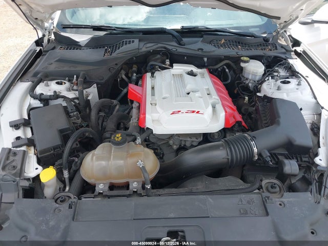 Продажа на аукционе авто 2019 Ford Mustang, vin: 1FA6P8TH9K5194531, номер лота: 45099924