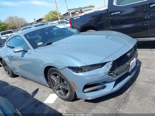 2025 1FA6P8TH8S5117245 main image