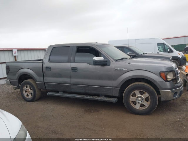 45101378 :رقم المزاد ، 1FTFW1CF0DFC20238 vin ، 2013 Ford F-150 Xlt مزاد بيع