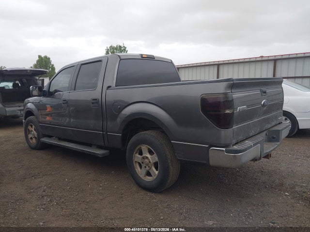 45101378 :رقم المزاد ، 1FTFW1CF0DFC20238 vin ، 2013 Ford F-150 Xlt مزاد بيع