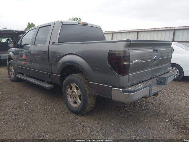 45101378 :رقم المزاد ، 1FTFW1CF0DFC20238 vin ، 2013 Ford F-150 Xlt مزاد بيع