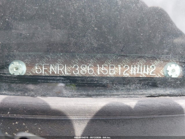 Auction sale of the 2005 Honda Odyssey Ex-l, vin: 5FNRL38615B124442, lot number: 45104218