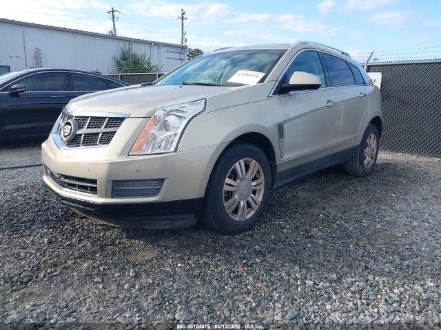 Продажа на аукционе авто 2010 Cadillac Srx Luxury Collection, vin: 3GYFNAEY3AS646900, номер лота: 45104976