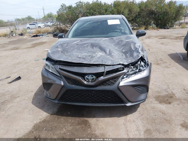 4T1G11AK6LU973894 Toyota CAMRY SE