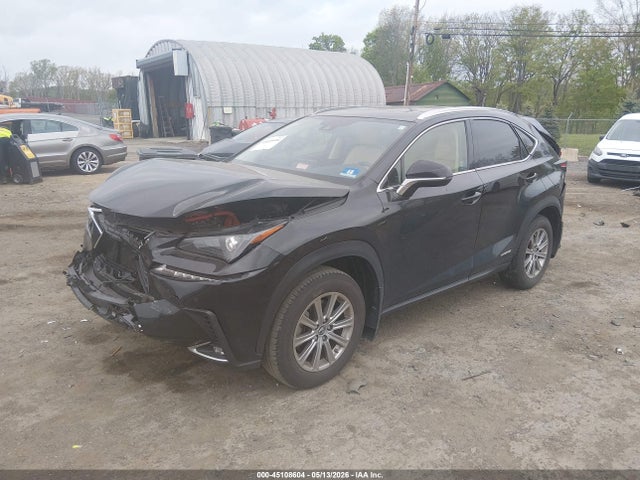 2020 Lexus Nx 300h მანქანა იყიდება აუქციონზე, vin: JTJDJRDZ7L5002165, აუქციონის ნომერი: 45108604
