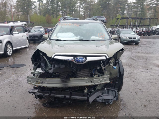 Subaru Forester Limited 2019 JF2SKAUC5KH453730 Image 13