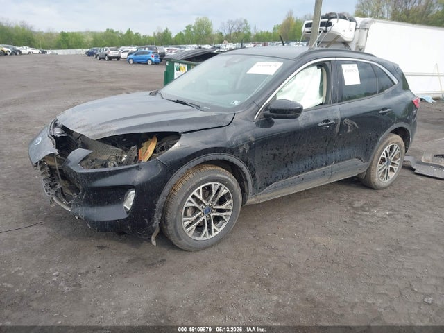 Продаж на аукціоні авто 2020 Ford Escape Sel, vin: 1FMCU9H66LUA45256, номер лоту: 45109879