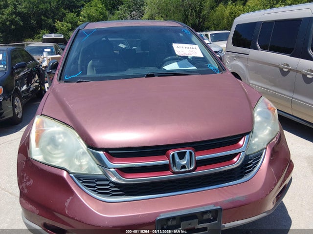 Продажа на аукционе авто 2010 Honda Cr-v Ex, vin: 5J6RE4H55AL037202, номер лота: 45110264