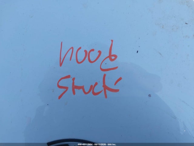 45112984 :رقم المزاد ، 5YJ3E1EAXSF135108 vin ، 2025 Tesla Model 3 مزاد بيع