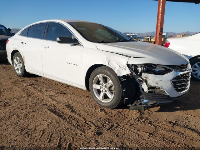 2019 1G1ZB5ST2KF222909 main image