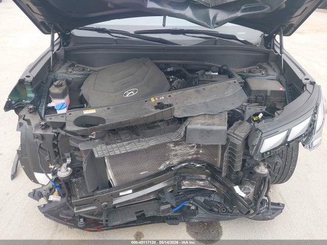 Продажа на аукционе авто 2024 Hyundai Palisade Calligraphy, vin: KM8R7DGE0RU701098, номер лота: 45117130