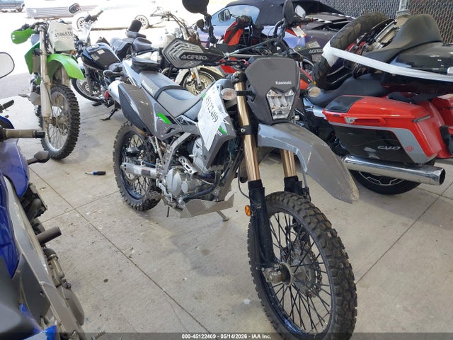 Kawasaki Klx300 F 2025 ML5LXBF19SDA39442 main image