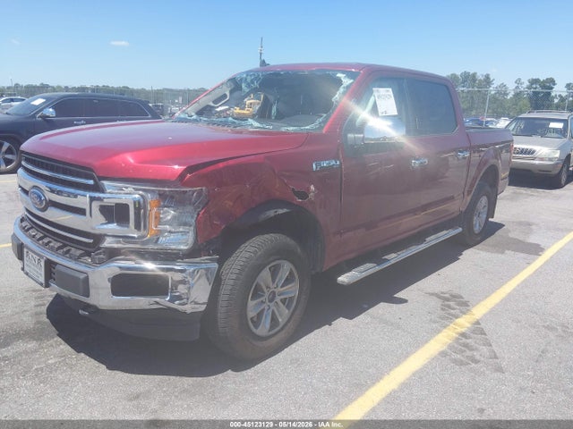 Auction sale of the 2019 Ford F-150 Xlt, vin: 1FTEW1E56KFC43813, lot number: 45123129
