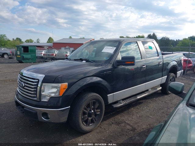 Продажа на аукционе авто 2010 Ford F-150 Fx2 Sport/xl/xlt, vin: 1FTEW1C85AFA21663, номер лота: 45123503