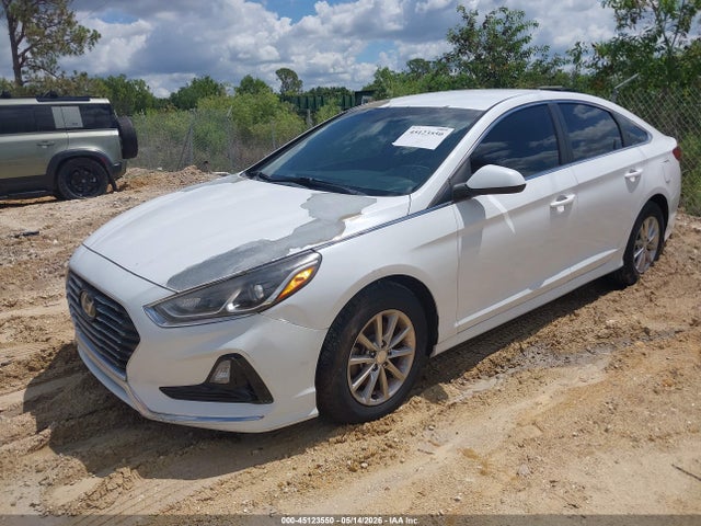 Продажа на аукционе авто 2019 Hyundai Sonata Se, vin: 5NPE24AF7KH797606, номер лота: 45123550