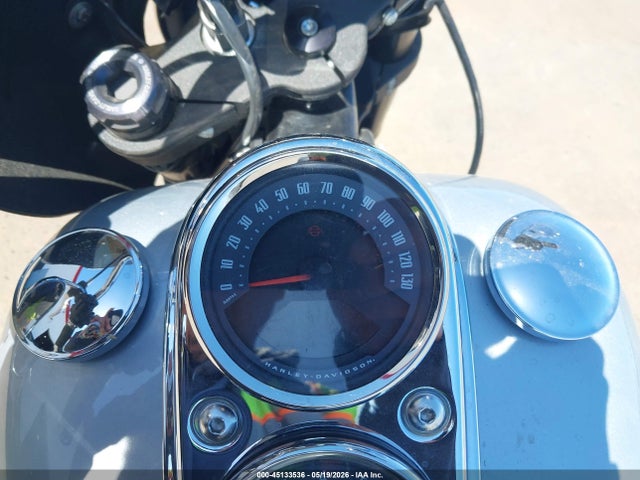 Harley-Davidson FXLRS 2020 1HD1YWK20LB074802 Image 7