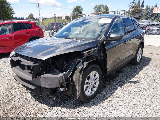 Продажа на аукционе авто 2020 Ford Escape Se, vin: 1FMCU9G63LUB94404, номер лота: 45133741