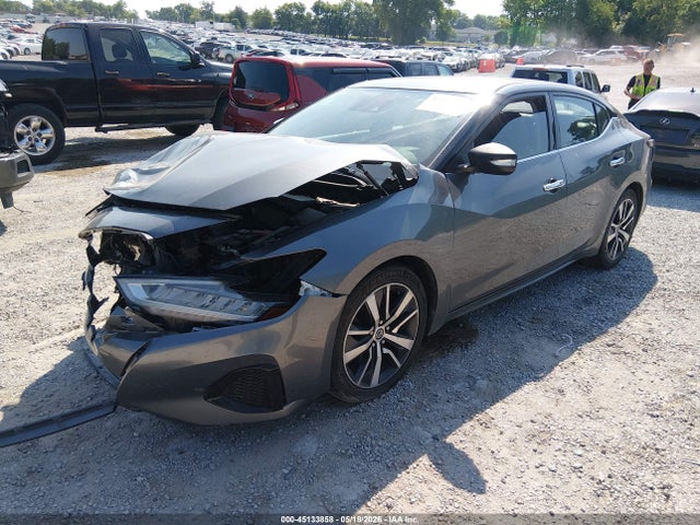 Продаж на аукціоні авто 2020 Nissan Maxima Sv Xtronic Cvt, vin: 1N4AA6CV7LC366641, номер лоту: 45133858