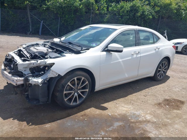 19UUB2F3XLA002511 Acura Tlx Standard