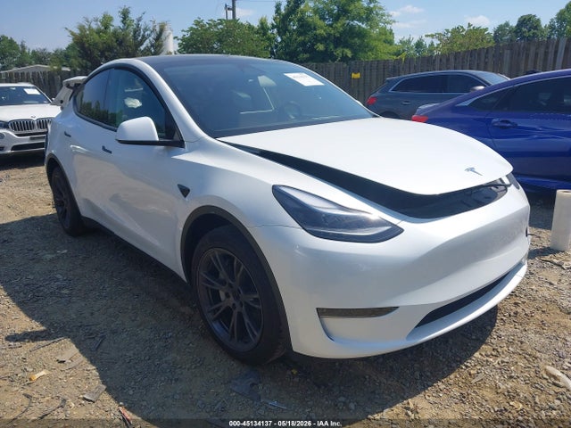 Tesla Model Y Long Range Single Motor Rear-wheel Drive/rwd 2024 7SAYGDEDXRF205893 main image
