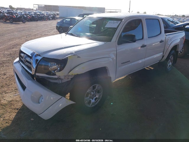45134198 :رقم المزاد ، 5TELU42N68Z586619 vin ، 2008 Toyota Tacoma Base V6 مزاد بيع